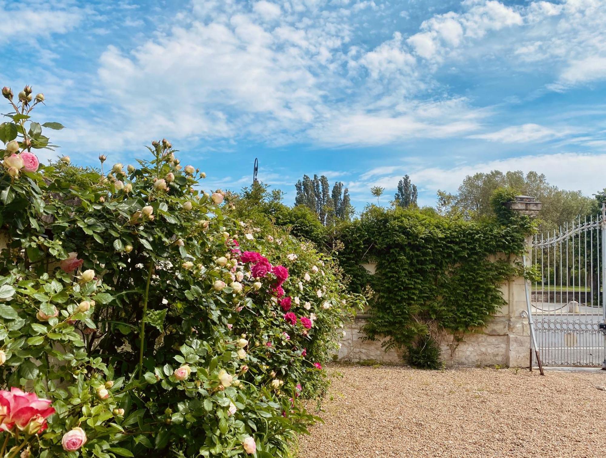 Maison Adrienne Saint-Aignan  Eksteriør bilde