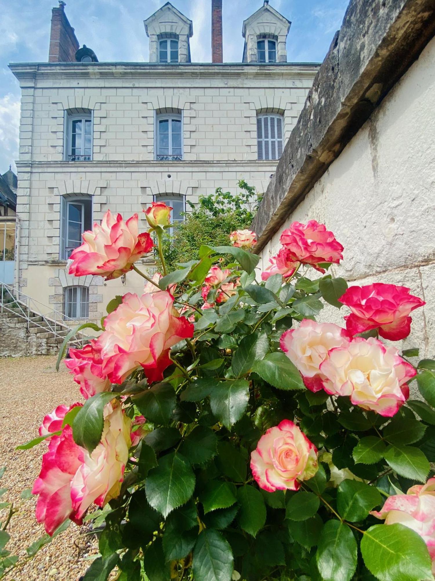 Maison Adrienne Saint-Aignan  Eksteriør bilde